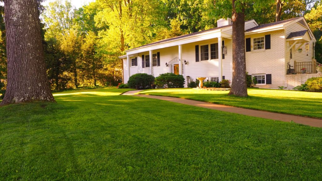 Buying A Luxury Home With Lots Of Land: Why DeLand Is Best