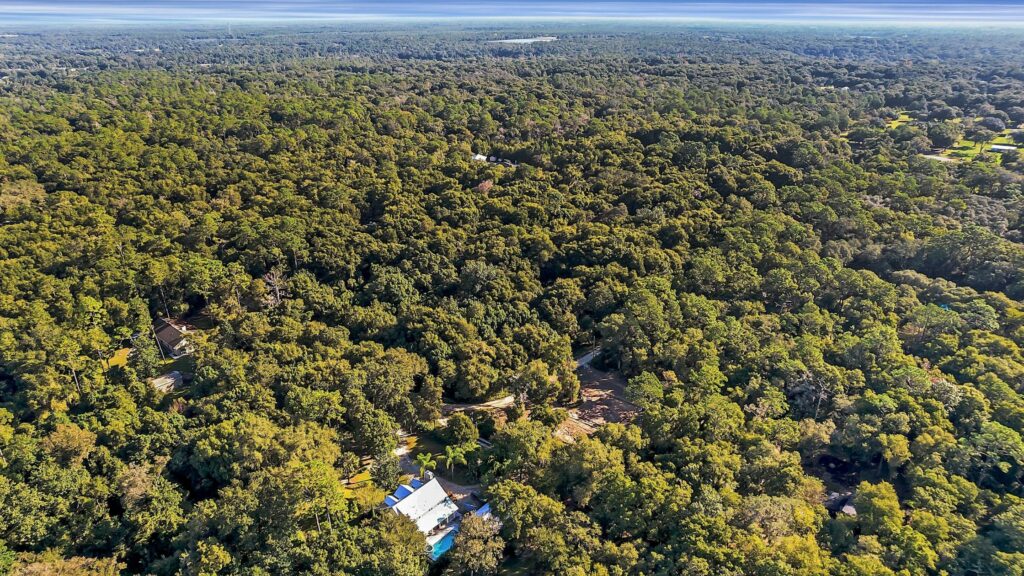 How A Realtor Can Help You Navigate The Land Buying Experience
