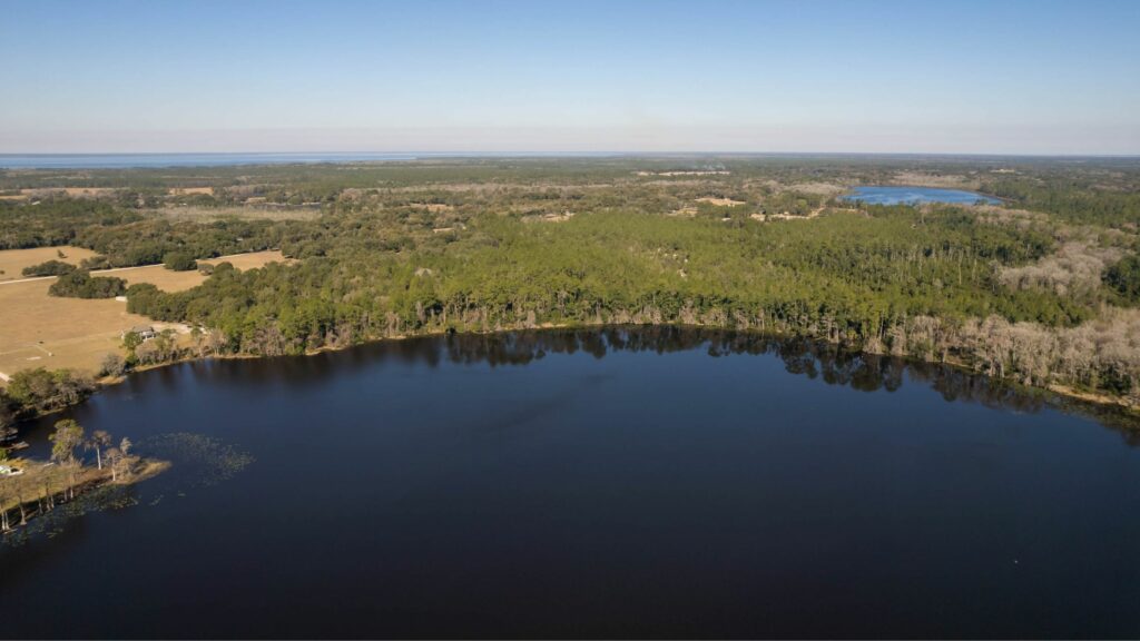 Should I Sell My Land? Why Working with a Local Land Specialist Can Help You Get the Best Price
