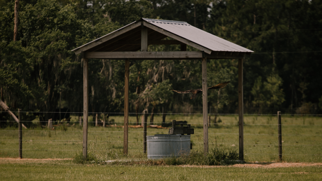 Questions to Ask Before Buying - What Utilities Are Available or Need to be Added to the Property?