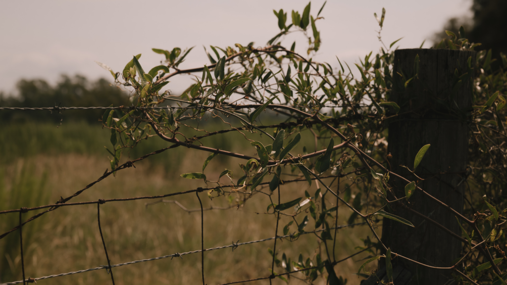 What Makes Buying Land Different Than Buying a Home?